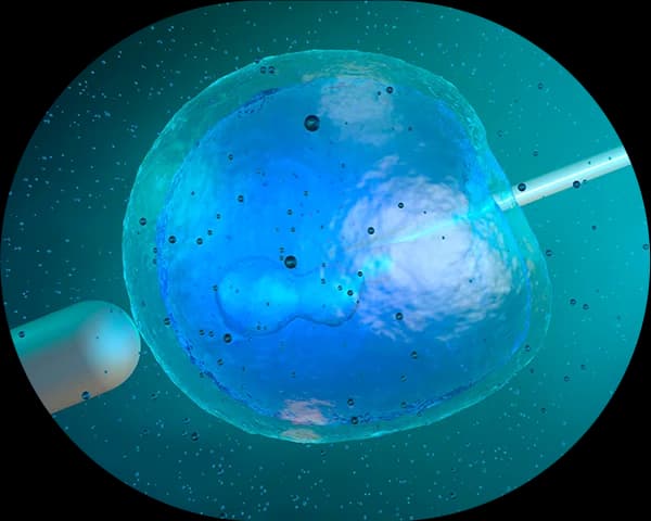 Fundamental care using stem cells